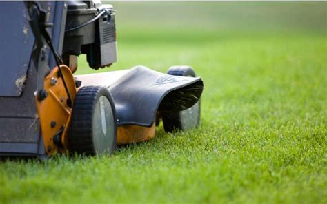 Give your yard the tailored care it deserves. Lawn Mowing Service Near Me in Pala