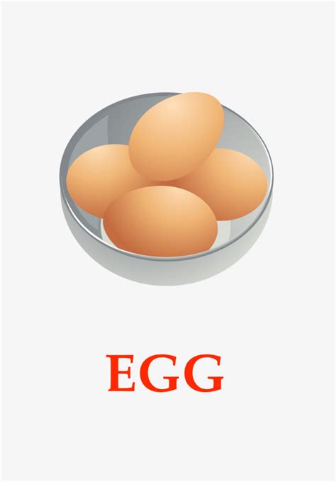 La Enseñanza De Ingles Huevos Comida Vector Illustration Vector