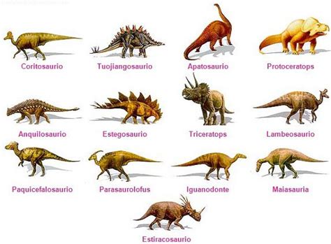 En El Nombre Del Padre Nombres De Dinosaurios Tipos De Dinosaurios