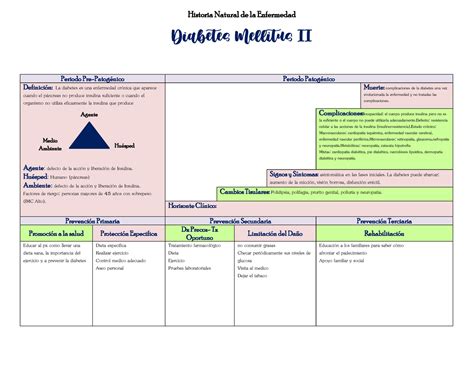 Historia Natural De La enfermedad DIABETES MELLITUS TIPO Periodo Pre Patogénico Periodo