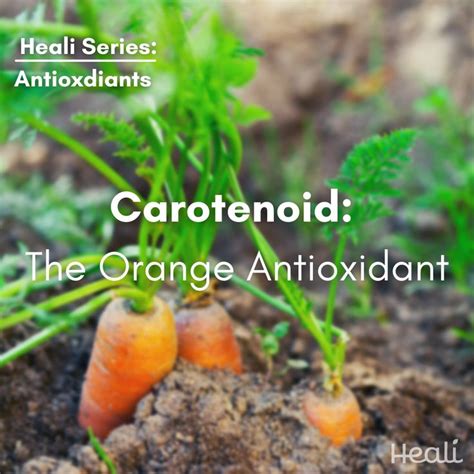 Carotenoids Are Responsible For Some Of The Rich Yellow Orange And