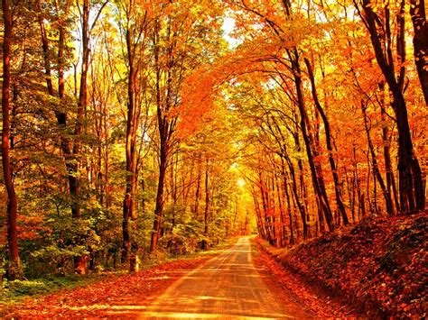Find over 100+ of the best free background images. Fall background. | Fall desktop backgrounds, Fall ...