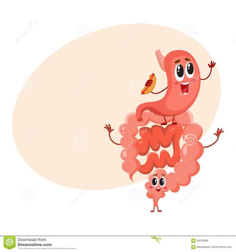 Cute and Funny, Smiling Healthy Bowel, Intestine Character Stock Vector