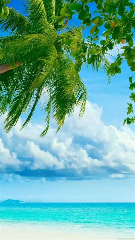 Download Feel the warmth of a Caribbean Beach Wallpaper | Wallpapers.com