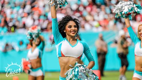 Photos Dolphins Cheer Falcons Vs Dolphins Week 7