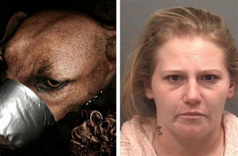 Woman Tapes Dogs Mouth Shut Posts Pictures On Facebook