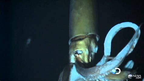 Giant Squid Caught On Tape For First Time For Discovery Channels