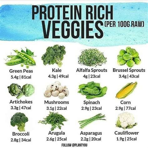 Protein Rich Vegetables High Protein Vegetables Plant Based Meal