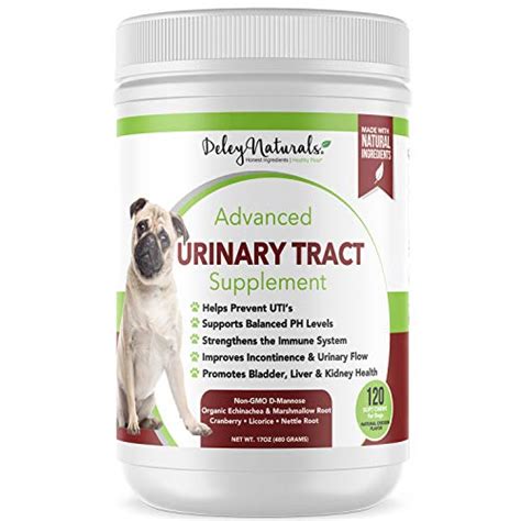Best Dog Food For Urinary Incontinence Gegu Pet