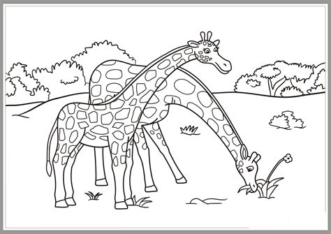 Maybe you would like to learn more about one of these? Mewarnai Gambar Jerapah - Mewarnai Gambar