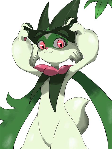 Pokemon Breeds, Pokemon Memes, Pokemon Funny, My Pokemon, Pokemon Waifu