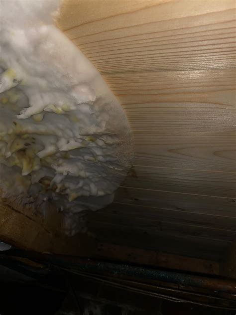 Een zwarte badkamer heeft een chique uitstraling en daarom zie je deze kleur steeds vaker terug in de badkamer. Zwarte schimmel badkamer Emmen - B-Team