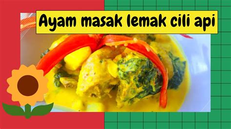 Kata chef cili padi dikisar sekali dengan tangkai untuk merasai kelainannya dengan masak lemak yang menggunakan cili padi yang dibuang tangkai. RESEPI AYAM MASAK LEMAK CILI API/CILI PADI - YouTube