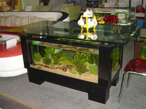 Find out the detailed collection here. 92 Gal Desk Dining Table Glass Fish Tank from Amazon ...