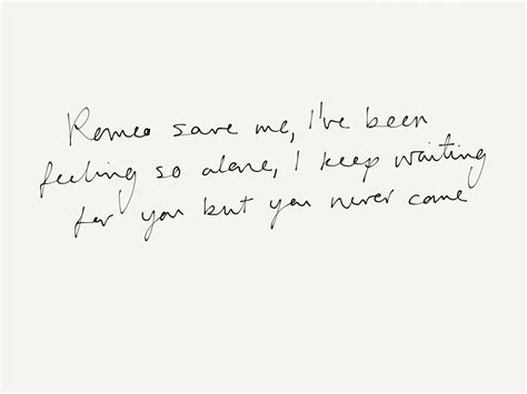 Taylor Swift Love Story Lyrics At Your Disposal