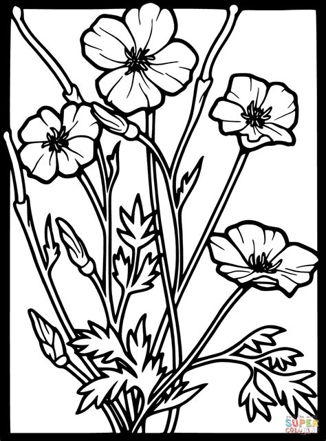 Free printable poppy flower coloring pages. Stained Glass Poppy coloring page | Free Printable ...
