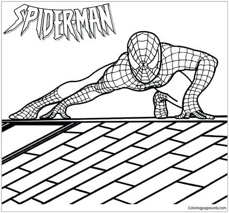 We would like to show you a description here but the site won't allow us. Spider man Homecoming Coloring Pages - Spiderman Coloring ...