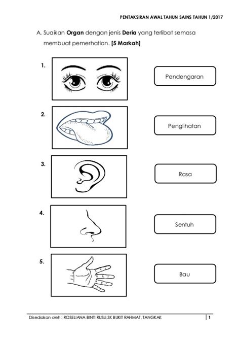 Ficha De Deria Manusia