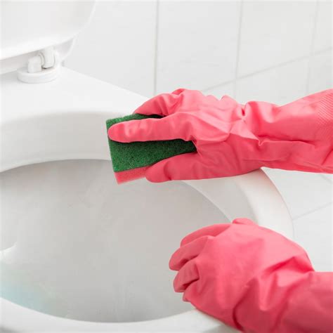 They carried 1 brand (house brand) and 1 size (quart bottle). Cleaning With Ammonia | ThriftyFun