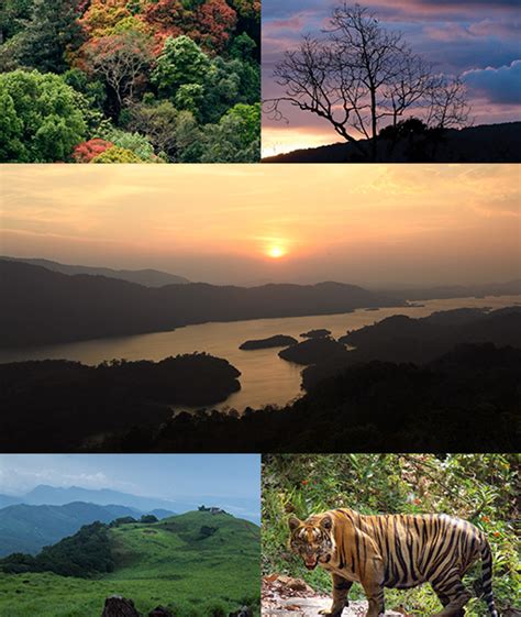 Anamudi Shola High Altitude Destinations Eco Tourism In Kerala