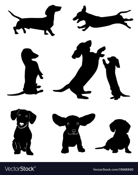 Silhouettes Of Dachshunds Royalty Free Vector Image