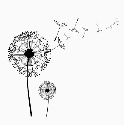 Download Dandelions clipart 20 free Cliparts | Download images on ...