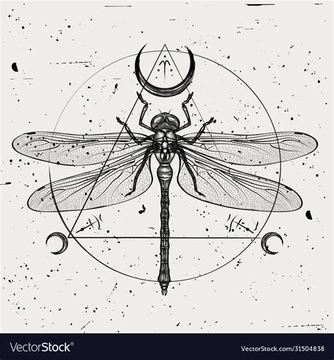 A Hand Drawn Dragonfly Royalty Free Vector Image