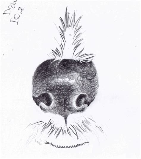Find vectors of dog snout. Weekly : Doodles and tuts: Drawspace lesson I02: How to ...