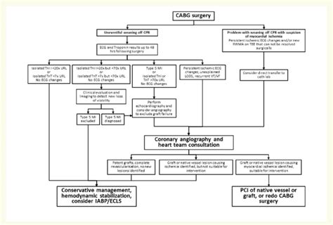 Proposed Algorithm For Managing Patients With Possible Peri Operative