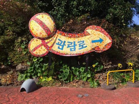 The 10 Best Museums On Jeju Island In South Korea