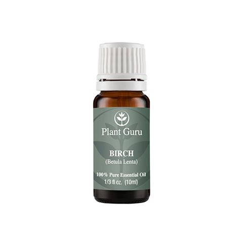 Birch Essential Oil 100 Pure Undiluted Therapeutic Grade