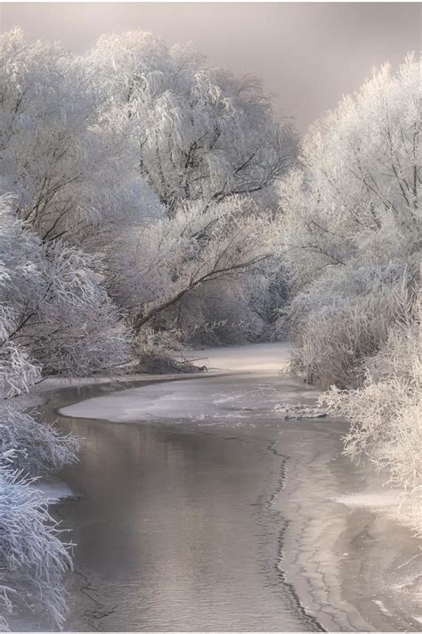 Snowy White Countryside Winter Trees Water Reflection