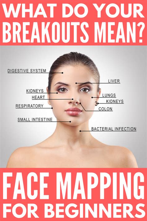 Face Mapping 101 What Do Your Breakouts Mean And How Can You Stop Them