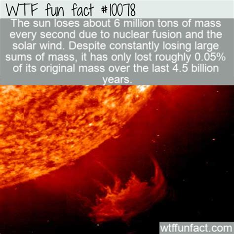 Wtf Fun Fact Sun Loss Wtf Fun Facts Weird Facts Cool Science Facts