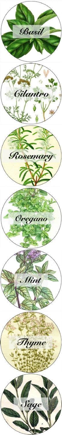 Free Printable Herb Labels Free Printable Gambaran