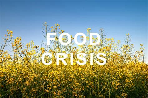Premium Photo World Food Shortage Food Crisis And Crop Failure