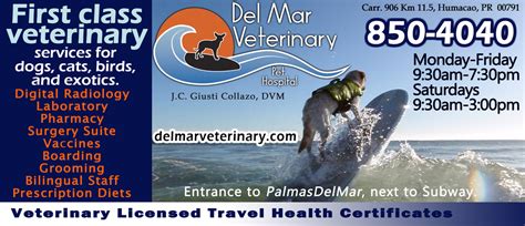 Photos And Stories Del Mar Veterinary Pet Hospital Humacao Pr