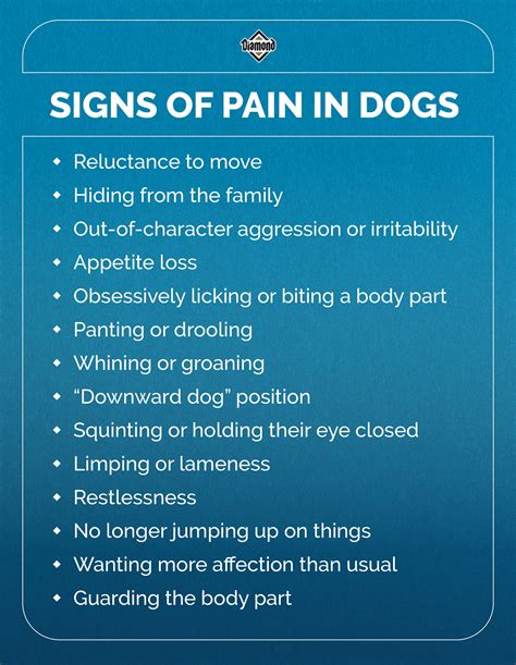 How To Tell If Your Dog Is In Pain Uphillpets