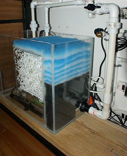 Overhead sump filter is an easy to build diy project that you can do at home. Side view of sump setup | Aquarium sump, Diy aquarium ...