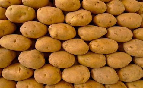 Indian Government Sets Minimum Export Price Mep For Potato Of Usd 360