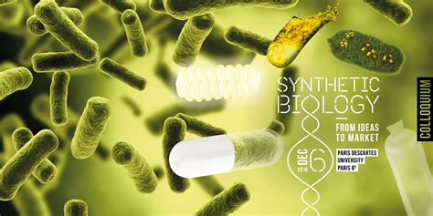 Synthetic Biology From Ideas To Market Syngulon Bacteriocin Based