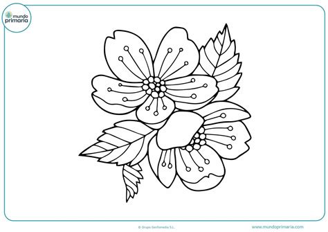 Dibujos Para Colorear De Flores Bonitas Y Grandes