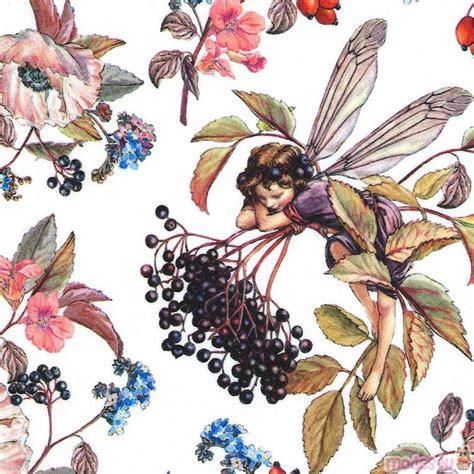Elderberry Flower Fairy Fabric By Michael Miller In White Modes4u