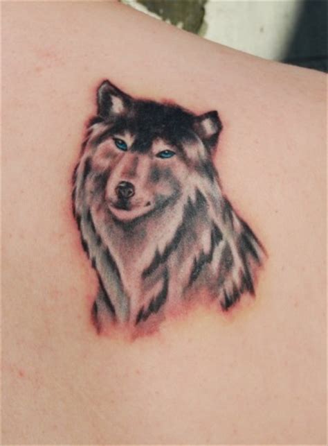Shoulder Wolf Tattoo Tattoo Designs Tattoo Pictures