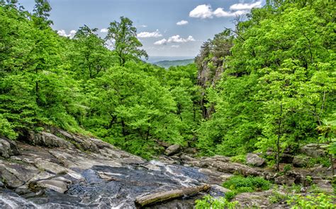 Green Forest In Spring Trees Stream Rocks Sky With White Clouds