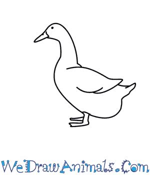 1 how to simplify the water 2 how to detail the feathers 3 how to render. How To Draw A Duck