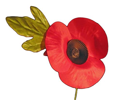 Red Poppy Background Png Image Png Play