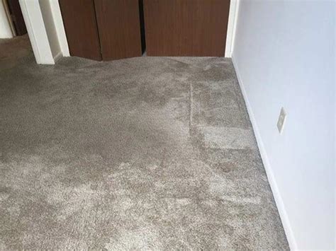 Centero carillon mahdollistaa pääkäyttäjäoikeuksia vaativien toimenpiteiden suorittamisen centero carillon parantaa sekä tietoturvaanne että asiantuntijoidenne työskentelyn sujuvuutta. Carpet Cleaning Gallery | Smith-Mathis | Fishers, Indiana