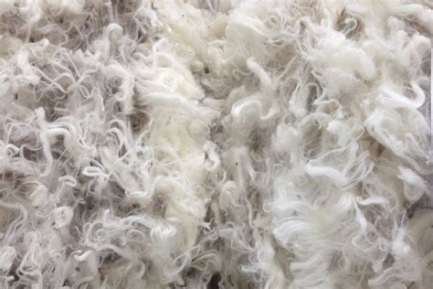 What Is Wool Fiber Physical Properties Of Wool Fiber Chemical