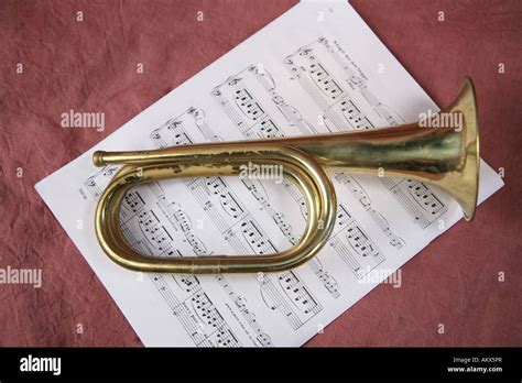 Musical Bugle Instrument Banque De Photographies Et Dimages à Haute